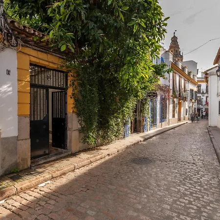 Apartamento La Perla De La Juderia Córdoba
